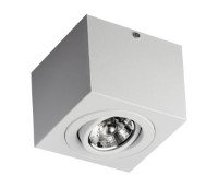eLuz 5031