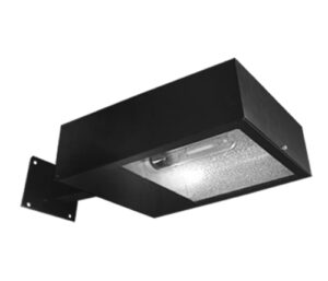 eLuz 6542
