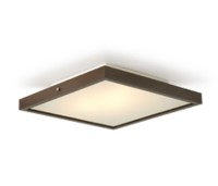 eLuz Iluminação